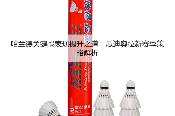 哈兰德关键战表现提升之道：瓜迪奥拉新赛季策略解析